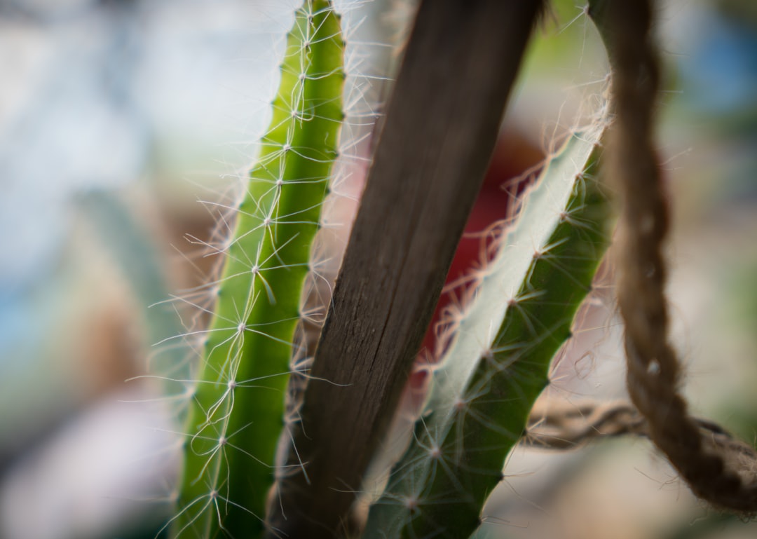 Photo daily routines