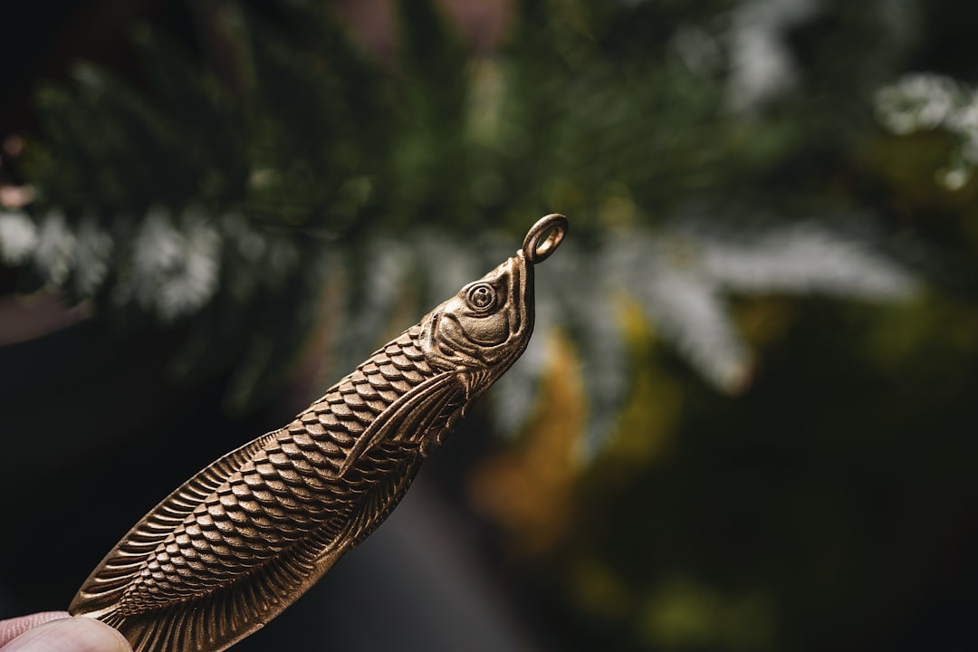 Photo cobra extend medicare sep