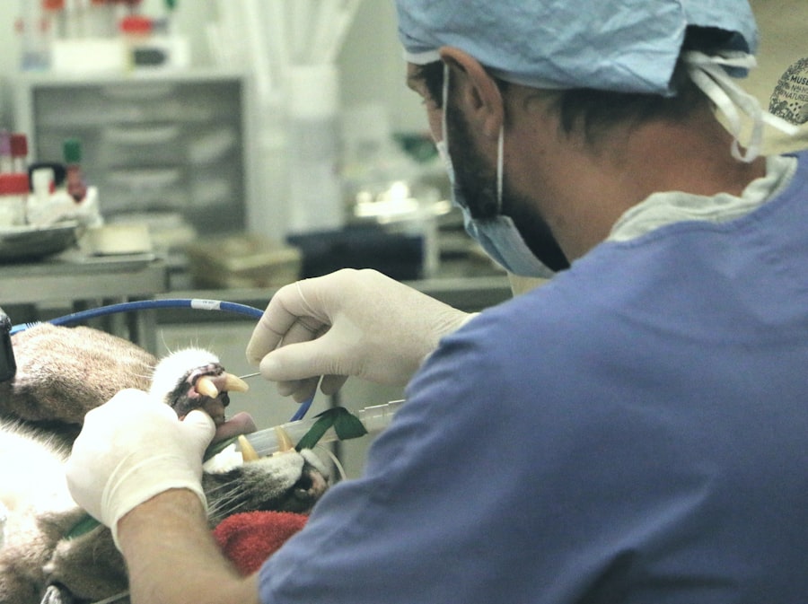 manufacturer patient assistance programs