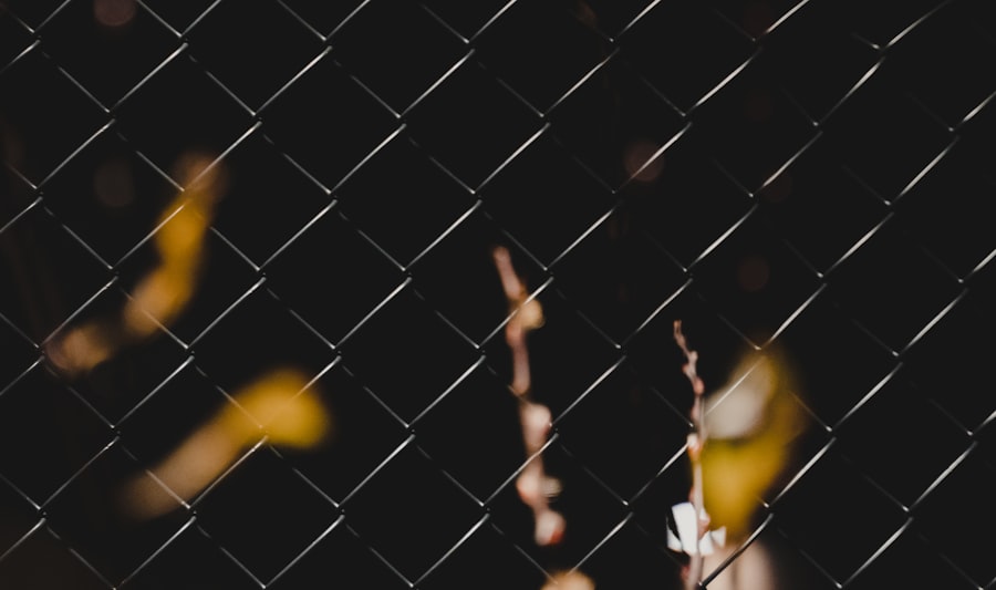 medicaid penalty divisor