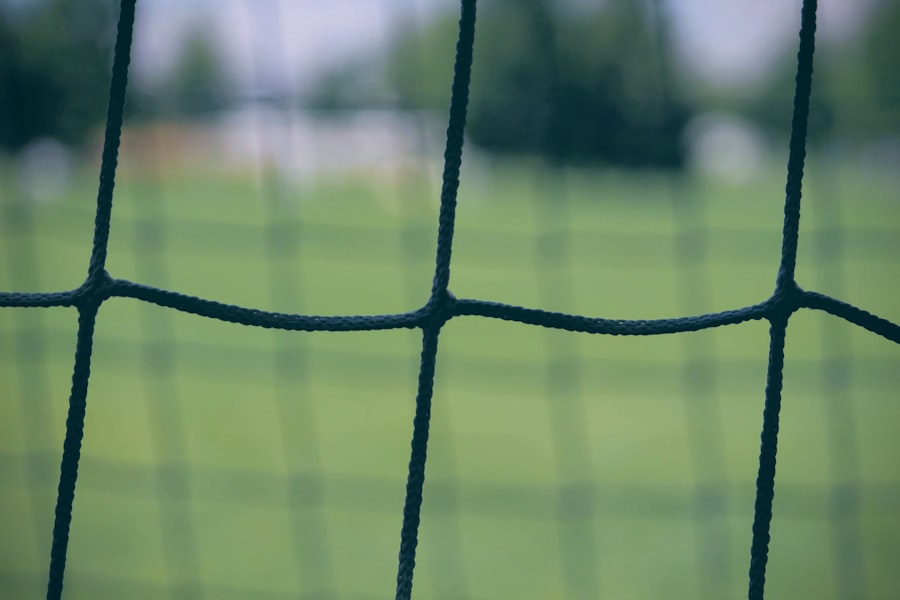 Photo medicaid transfer penalty