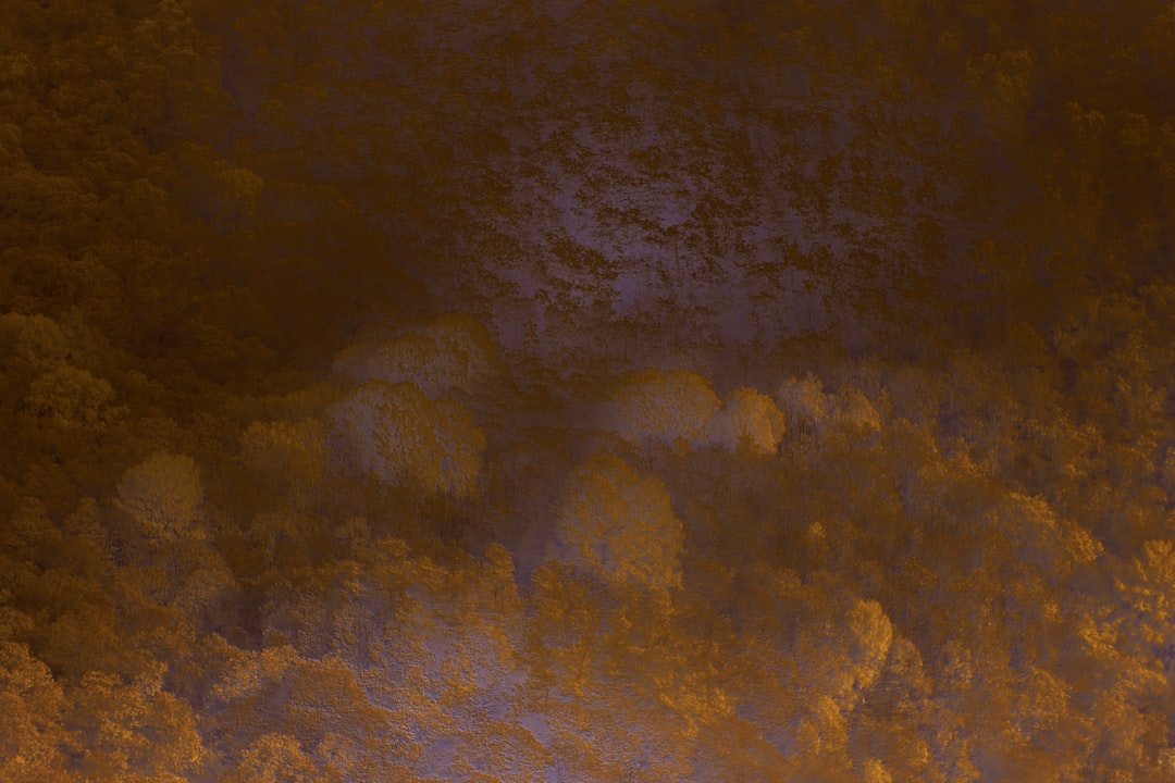 Photo irmaa magi threshold