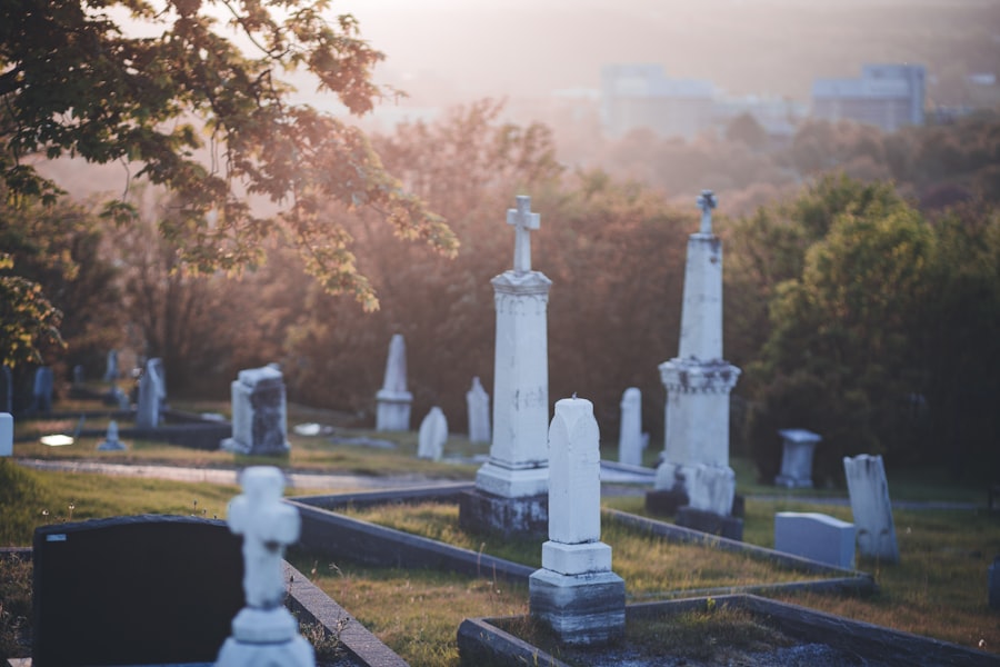 Photo funeral trusts and medicaid