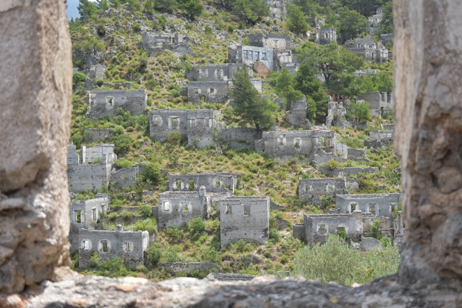 Photo viatical settlement