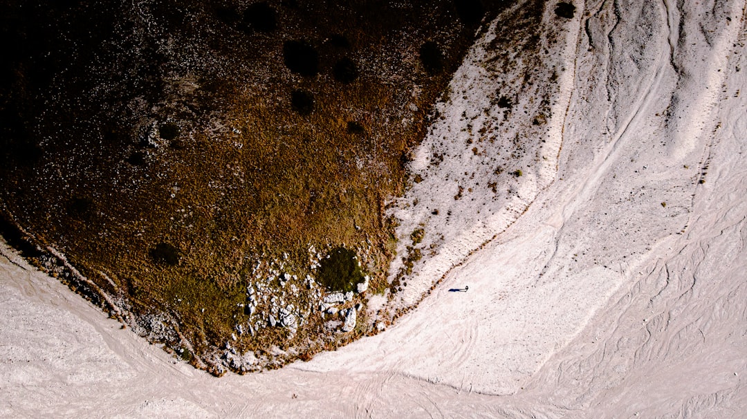 Photo piperine in turmeric