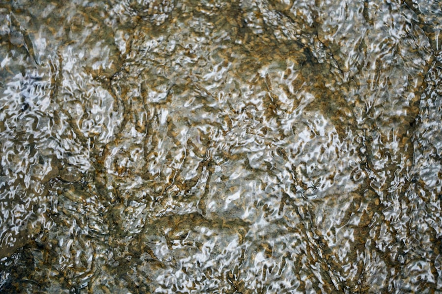 Photo piperine in turmeric