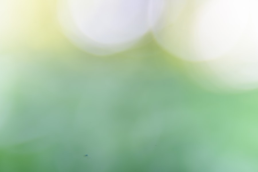 medicaid gift penalty months