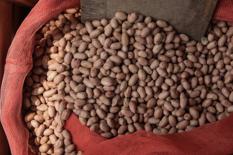 beans cognitive decline