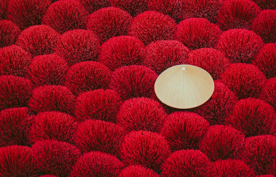 wool dryer balls fragrance free