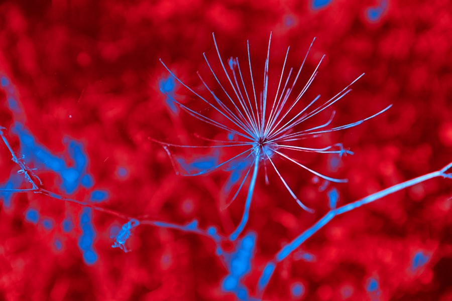 Photo neuroinflammation