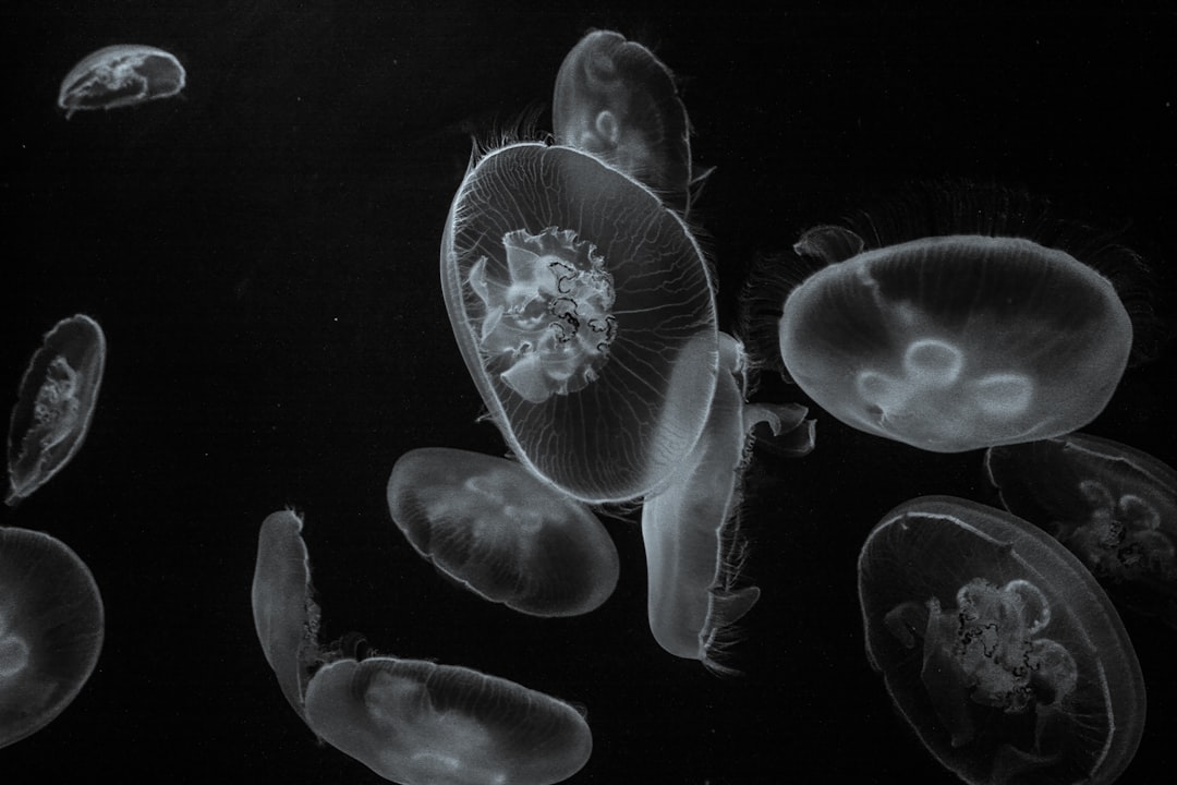 Photo microbiome diversity