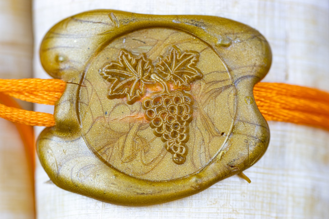 Photo kidney protection