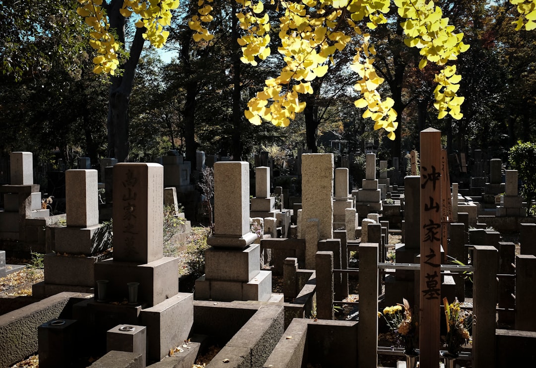 Photo medicaid prepaid funeral planning