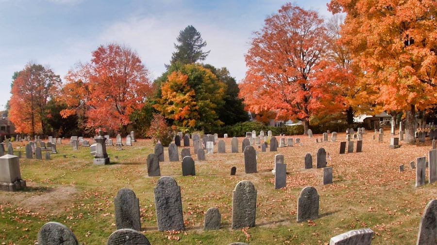 Photo medicaid prepaid funeral planning
