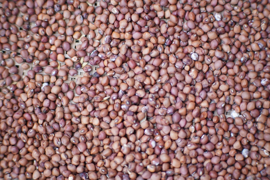 Photo prepare lentils