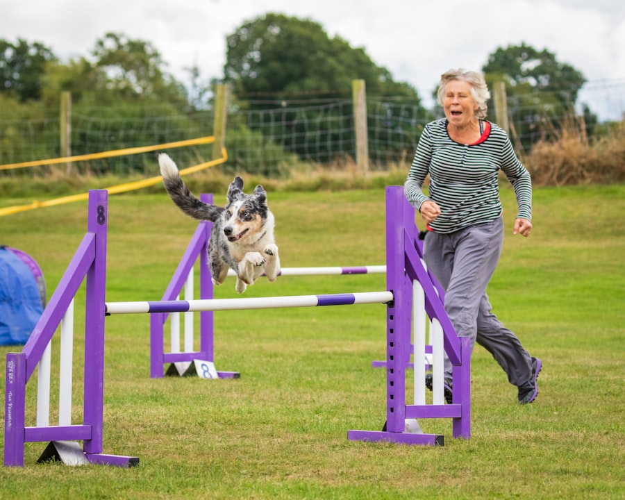 functional fitness assessment elderly