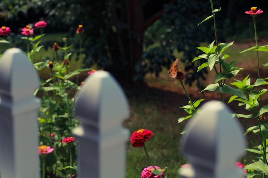 funeral insurance agent tricks