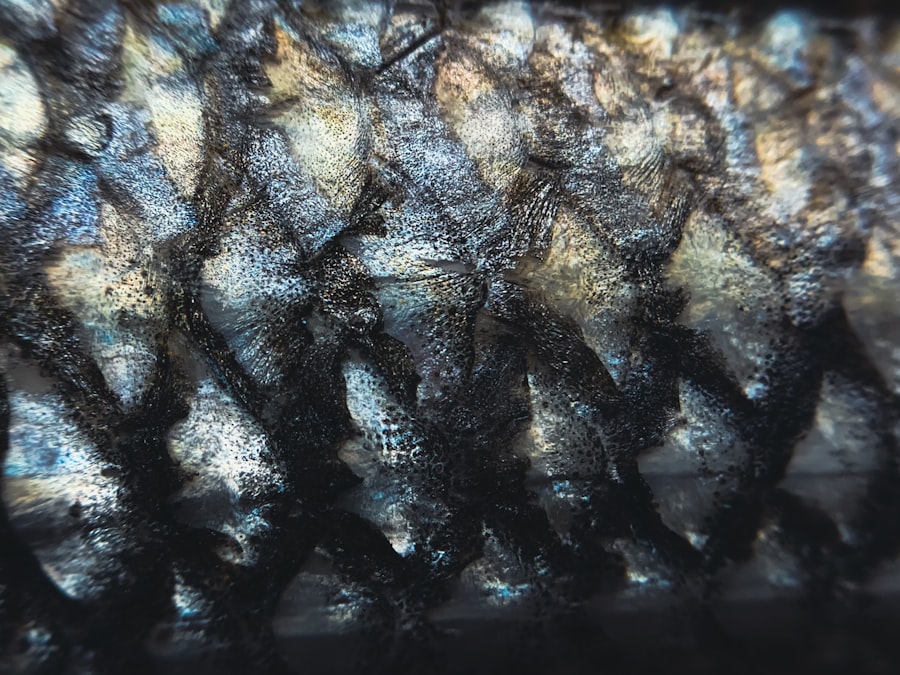 fish skin broth, collagen