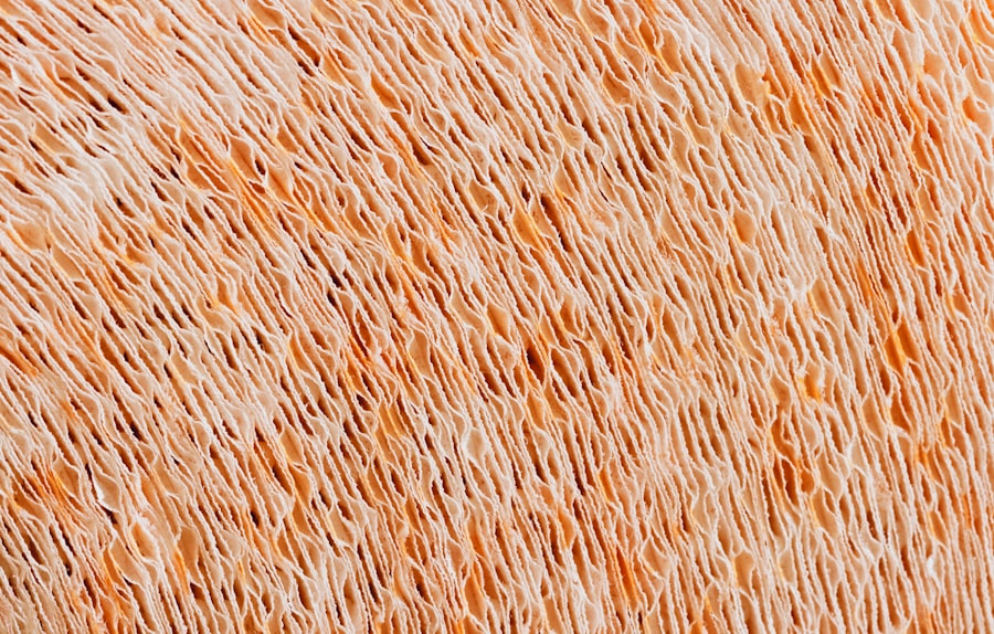 fish skin collagen