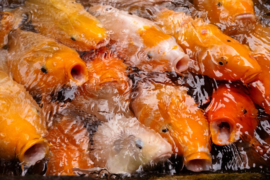 Photo fish skin broth recipe