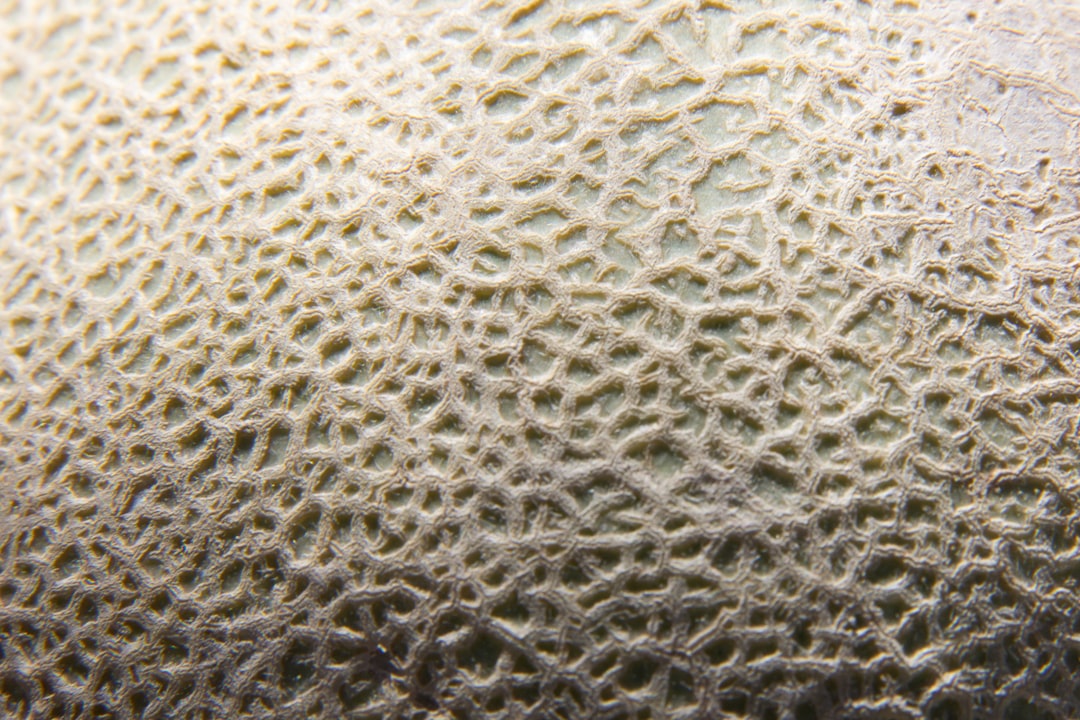 Photo fish skin broth, collagen