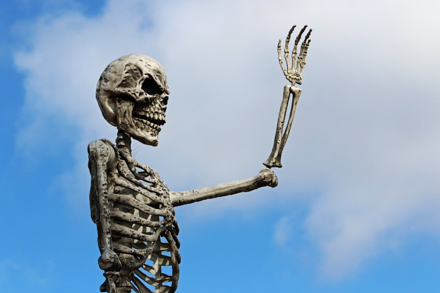 Photo bone broth alternatives