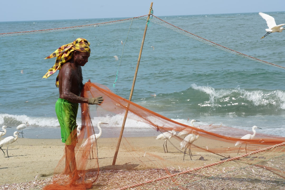 Photo lower IRMAA income