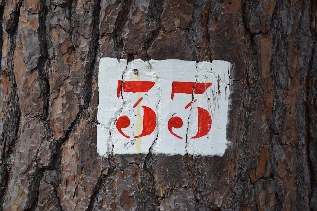 Photo turning sixty five