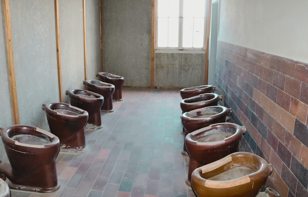 Photo toilet seat seniors