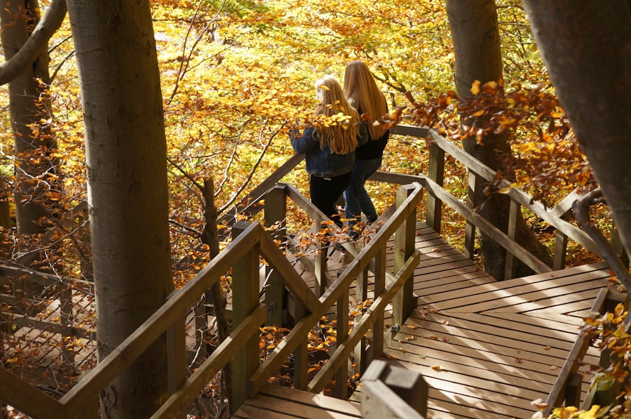 Photo fall prevention exercises