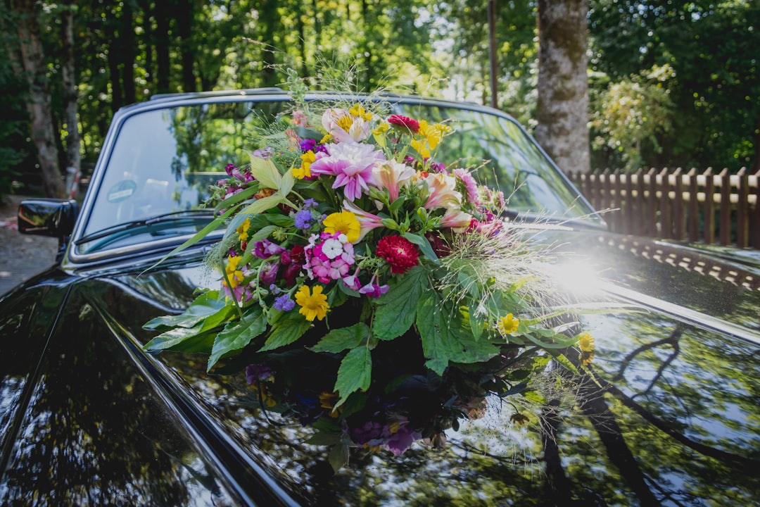 Photo funeral costs