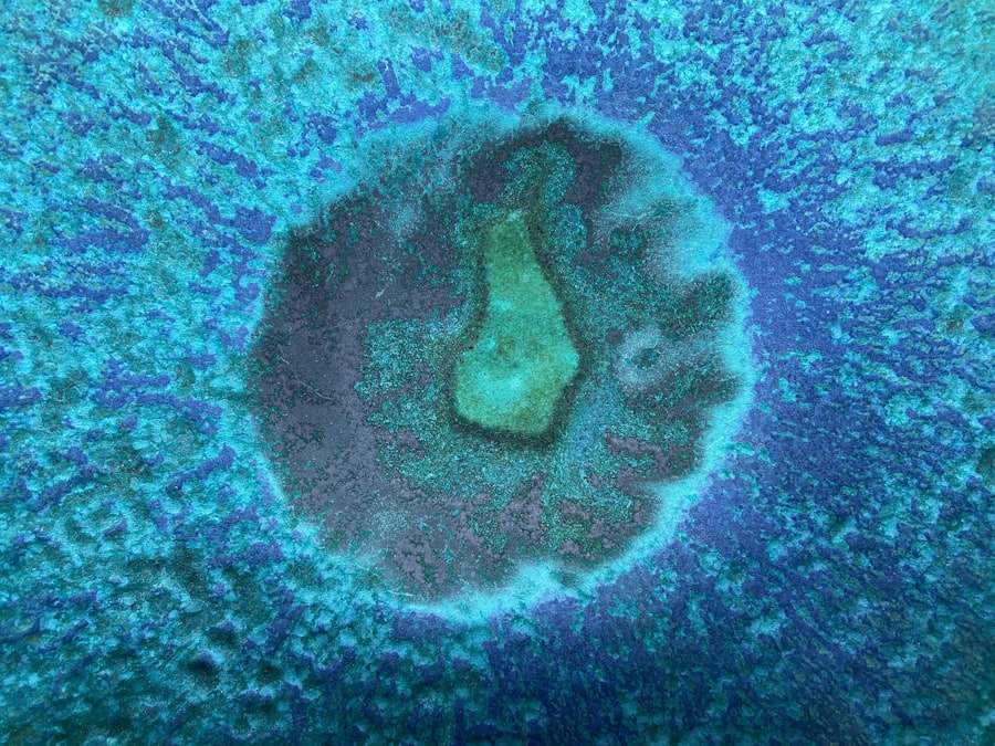 mitochondria