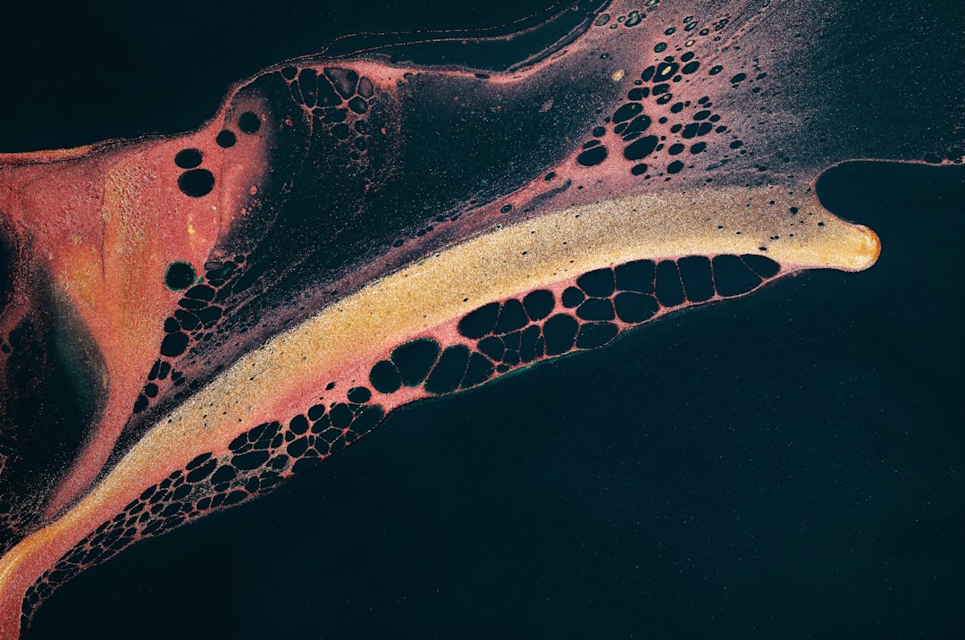 Photo mitochondria