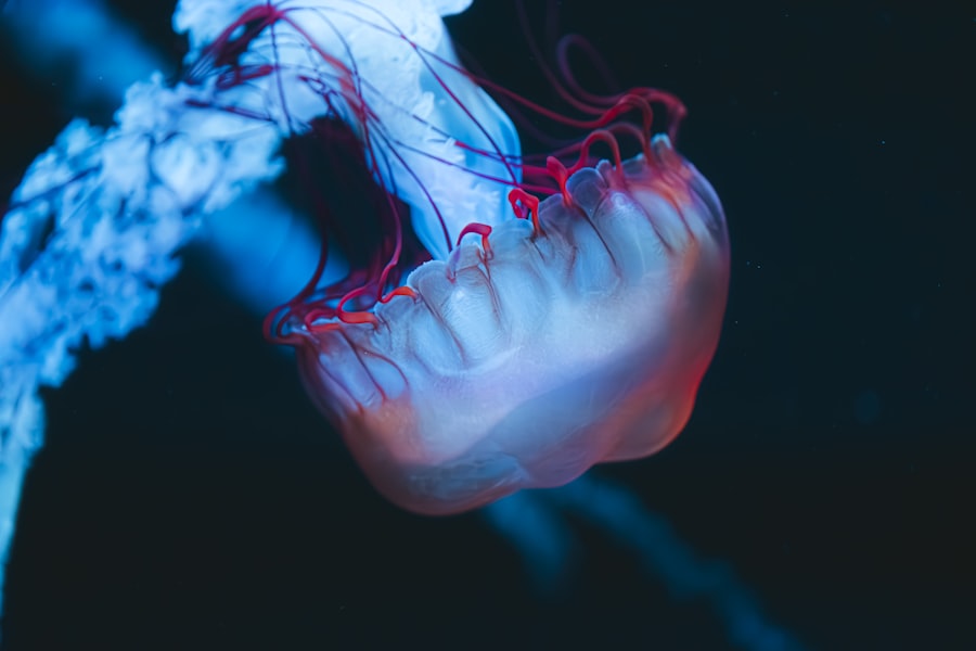 Photo gum disease and heart attack link