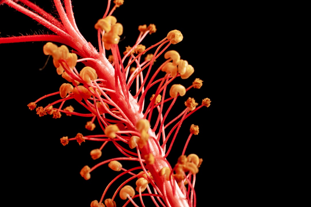 Photo vagus nerve symptoms