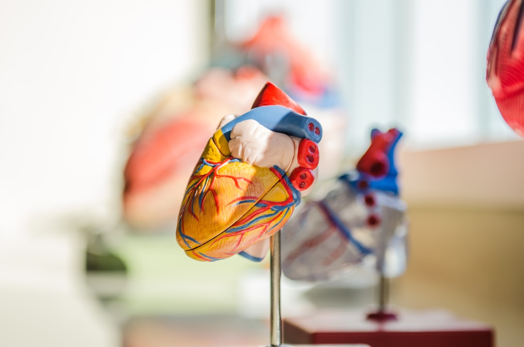 Photo heart rate variability exercises