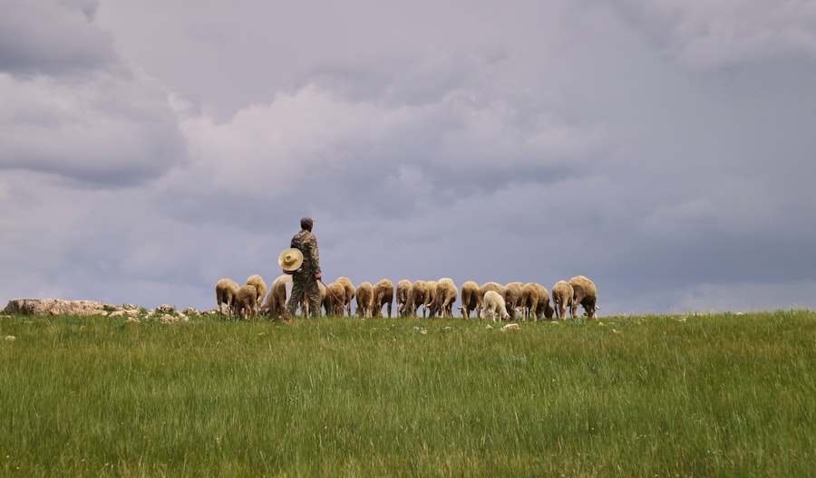 Photo pasture raised eggs