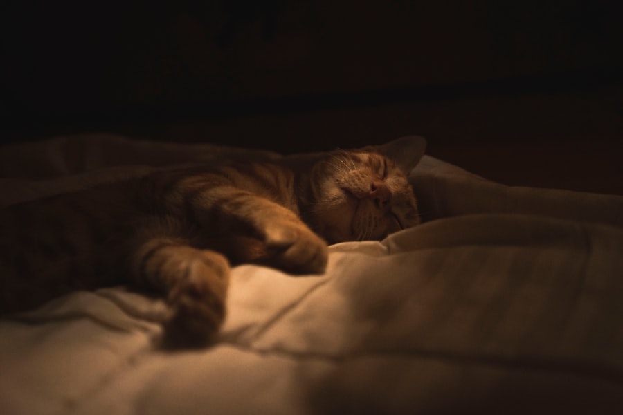 Photo sleep shield protocol