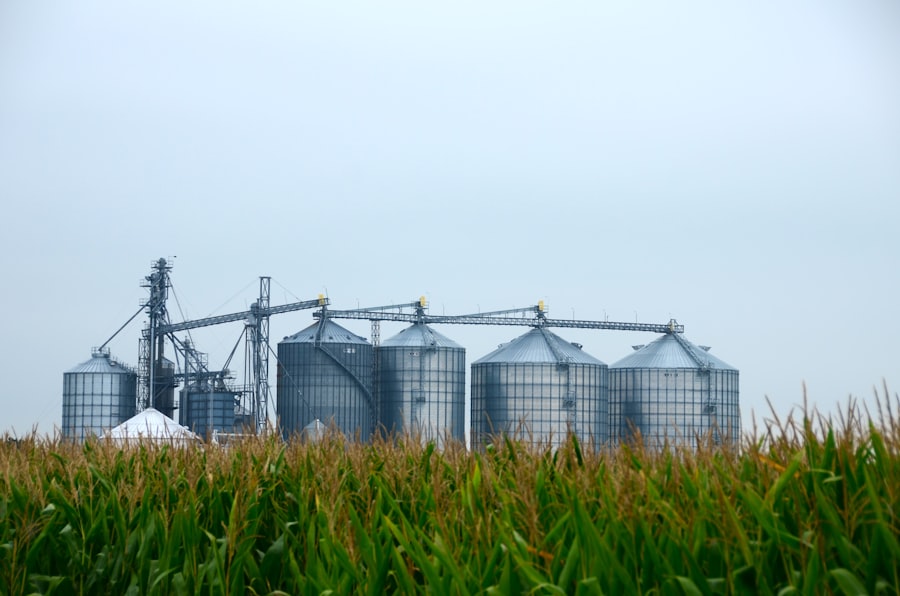 commodity sector business success story