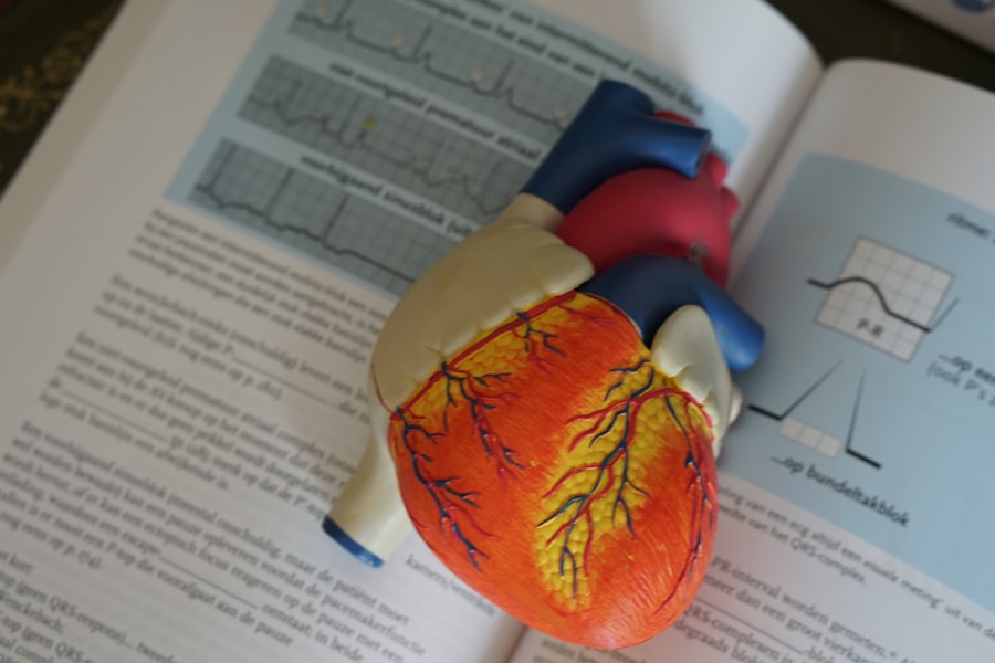 Photo heart health