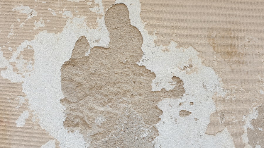 Photo moisture and mold