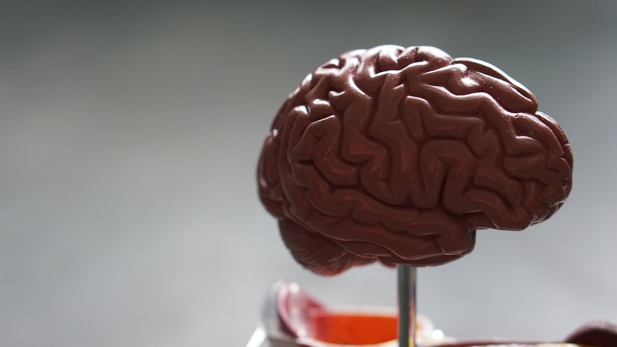 Photo cognitive decline