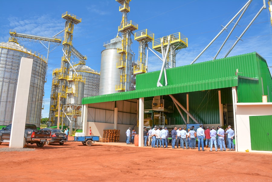 Photo commodity sector business success story